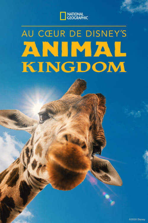 Au cœur de Disney’s Animal Kingdom (Magic of Disney's Animal Kingdom)