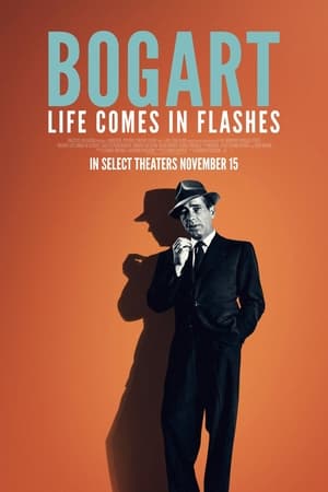 Bogart - Life Comes in Flashes