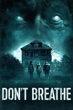 Don't Breathe - La maison des ténèbres