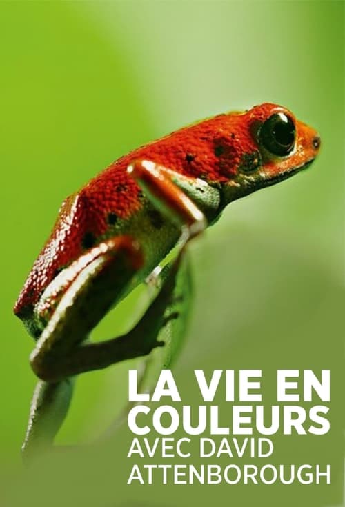 La Vie En Couleur avec David Attenborough