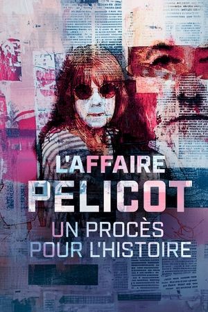 L'affaire Pelicot : un procès pour l'histoire