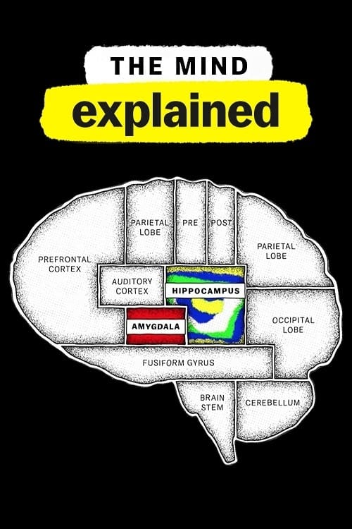 Le Cerveau, En Bref