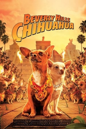 Le Chihuahua de Beverly Hills