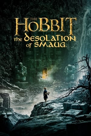 Le Hobbit 2 : la Désolation de Smaug