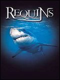 Le Monde des requins - Requins 3D