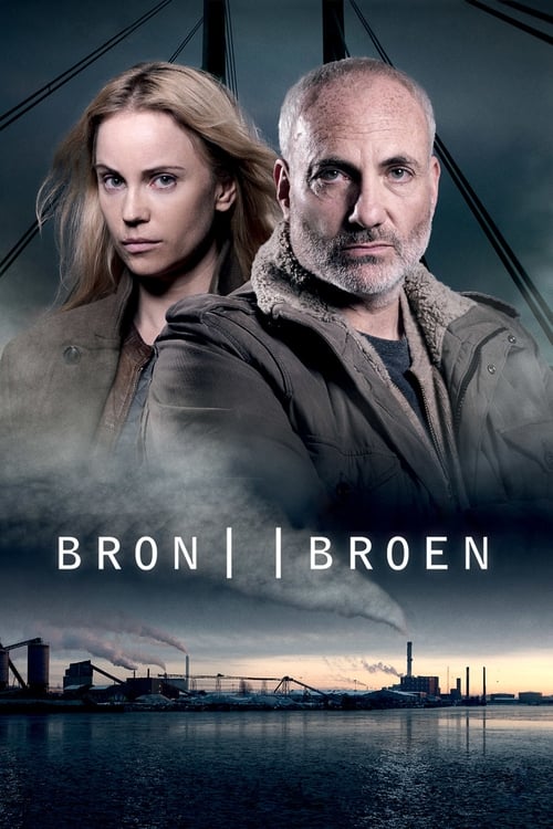 The Bridge (2011)